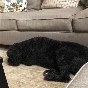 Meet your Posher, Tiffany